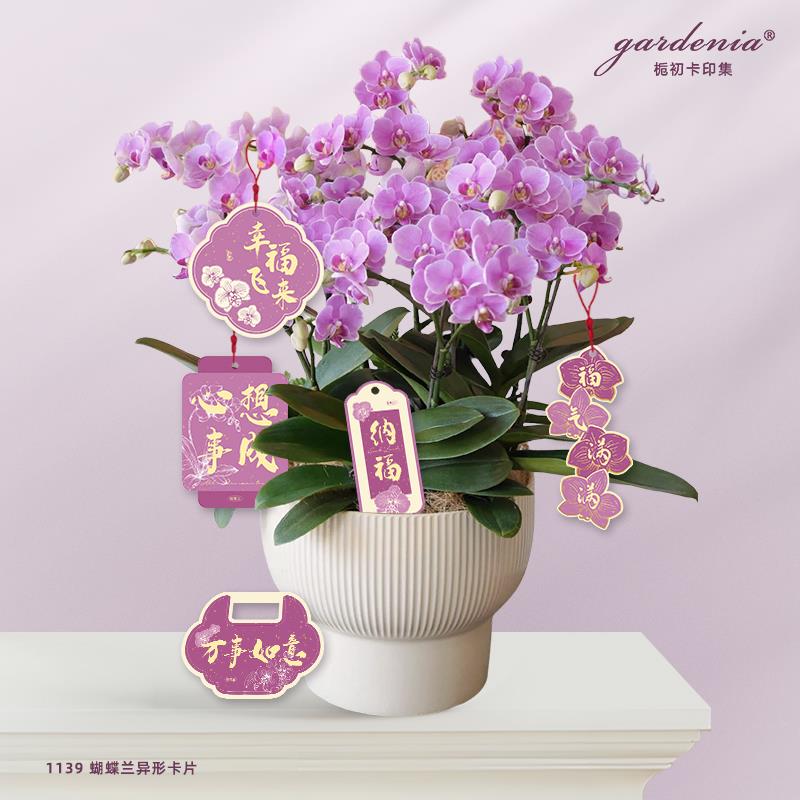 幸福飞来蝴蝶兰异形吊牌现货紫色年宵花盆栽吊卡鲜花绿植装饰卡片