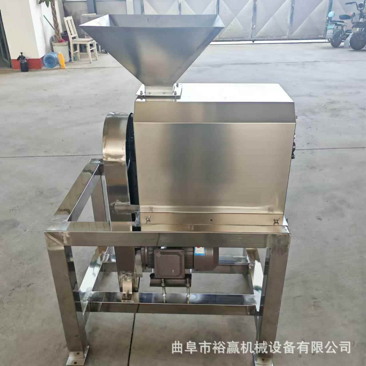 工业水果去核打浆机西红柿去打浆机大型榴莲去核打泥机