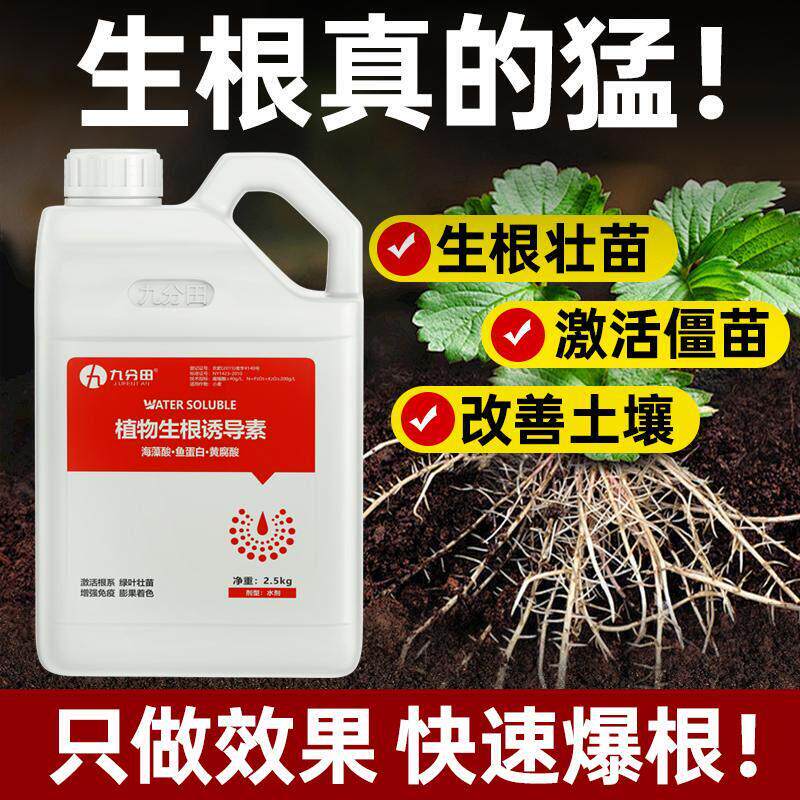 生根壮苗水溶肥料专用蔬菜果树强力爆发根黄腐殖酸海藻酸冲施肥