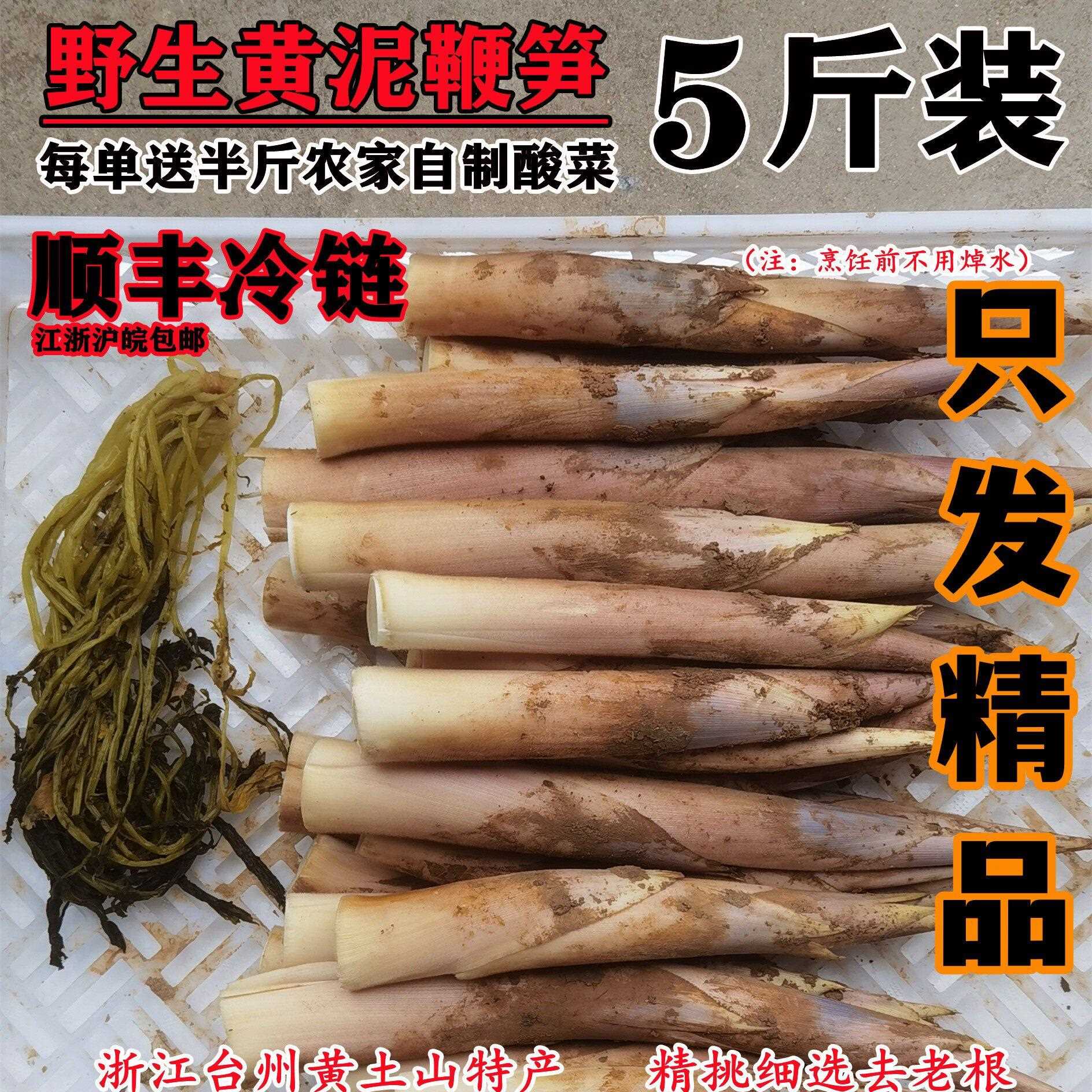 新鲜笋鞭笋时令蔬菜酒店特色食材夏笋绿笋边笋马蹄笋雷笋小竹笋尖