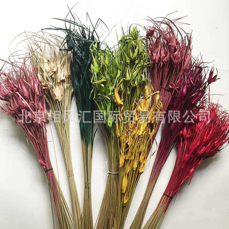 进口干果干花干枝干草干叶搭配装饰插花天然植物