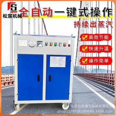 YH-200桥电梁养护器全自动燃油蒸汽发生器加热混土凝梁场护养设备