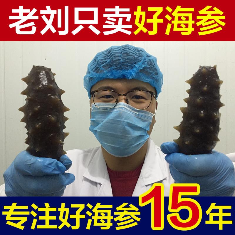 老刘 养马岛野生即食海参辽参 剌参 烟台渤海湾非淡干海参 500g