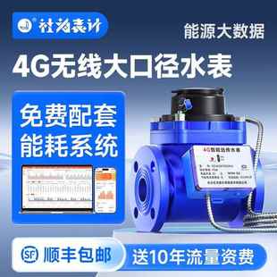 G远传大口径水表智能物联网远程抄表法兰防冻工业水表国标