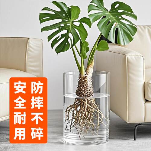 塑料花瓶仿玻璃大号龟背竹春羽水培专用器皿落地大口径宽口花盆大