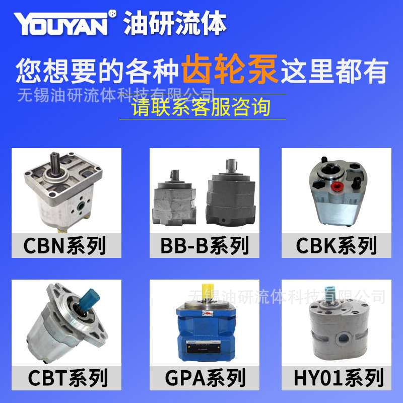 CB-B10齿轮泵CB-BM液压油泵LWBZ6/4/16/20/25/32/40/50/63/80/100