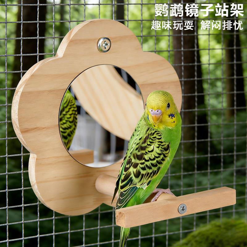 牡丹鹦鹉玩具镜子站架虎皮用品啃咬棒小站台鸟笼站架杆鸟