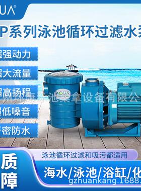 水泵游泳池水过滤器AP系列设备零配件景观循环泵自吸自吸泵