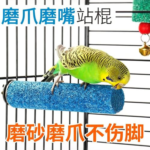 磨砂磨砂鹦鹉虎皮玄凤造景装饰