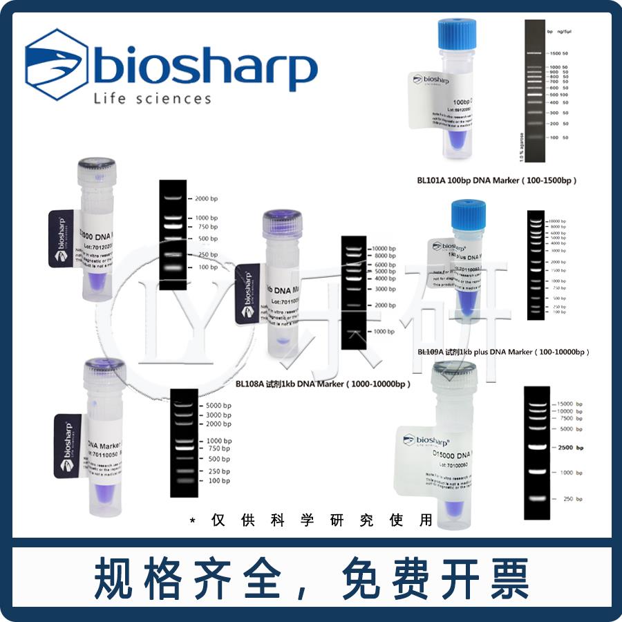 琼脂糖凝胶电泳DNA Marker100-1500bp/100-2000bp/100-5000bp包邮