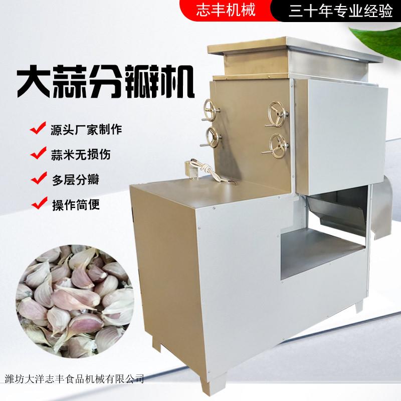 蒜头破瓣机蒜种加工设备大蒜分瓣机械厂家直销剥瓣机器食品级