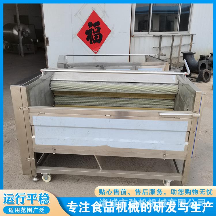 半夏毛刷清洗机 莲藕天麻三七毛辊清洗去泥设备 根茎类毛辊清洗机