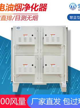 工业商用综合体油烟净化设备高空净化器静电除油烟机高空排放