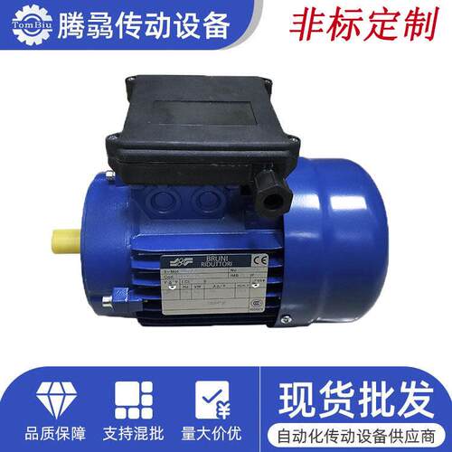 意大利布鲁尼BRUNI相电容电机厂家直销0.09KW~~4KW