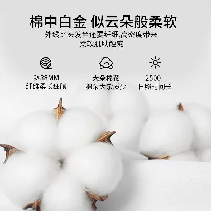 纯色单件单人床单100宿舍三件套磨毛四季南通加厚笠床通用被单