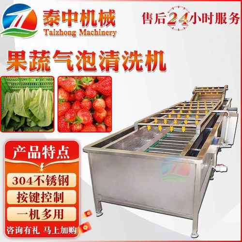 高压喷淋式气泡清洗机商用不锈钢果蔬清洗机大枣圣女果清洗设备