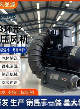RB-1515酸性气体耐腐蚀环形鼓风机11KW防腐高压鼓风机11000W气泵
