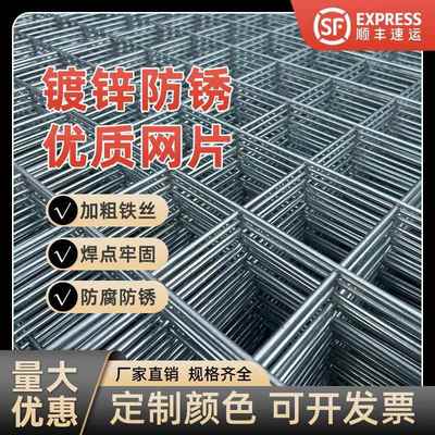 镀锌铁丝网片围栏小孔加粗养殖网狗笼养殖建筑钢筋长孔网格网钢丝