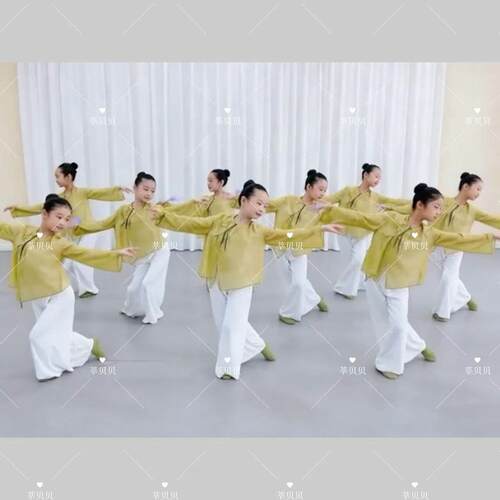 儿童新款演出服立春舞蹈服女童古典舞中国舞练功服飘逸纱衣表演服