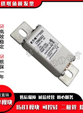 170M1730 170M1731 170M1732 170M1733 170M1734巴斯曼熔断器现货