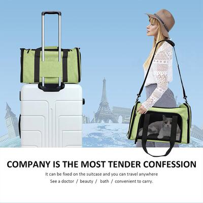 Carrier for Cat Pet Soft Transport Bag Foldable Dog Backpack
