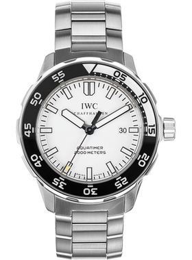 98新万国海洋时计手表精钢自动机械男表44mm IW356809