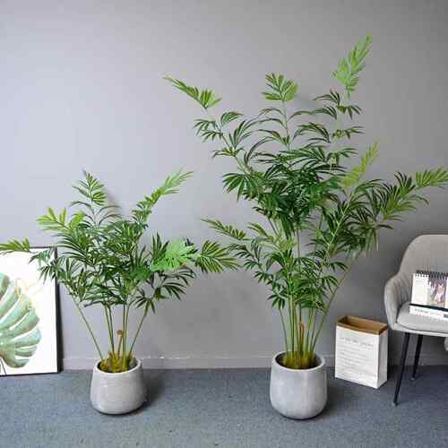 仿盆真植植物栽德宝zj5125苏假铁树家居室内大型落地装饰造景绿假