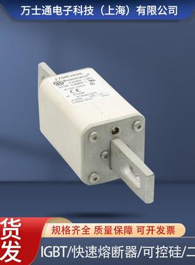 熔断器170M3689 170M3690/3691/3692/3693/3694/3695/3696/3697
