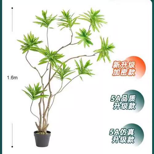 花山茶树植物麻球形室内装饰百合盆栽假仿真竹剑植仿真批发绿摆件