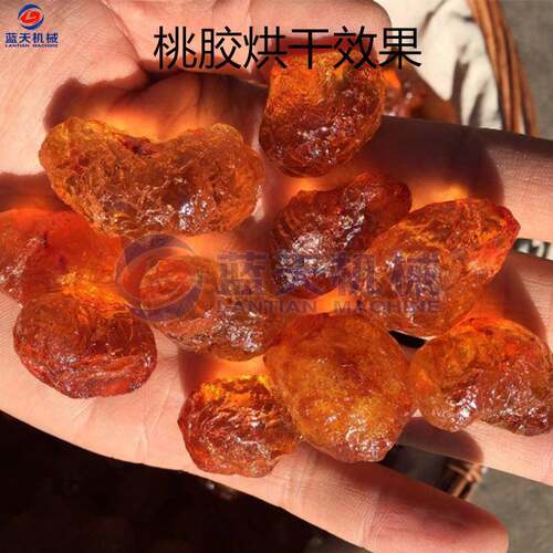 桃胶烘干空LT-TJJ气能热机泵大型商用桃脂桃油干燥机桃桃花泪凝烘
