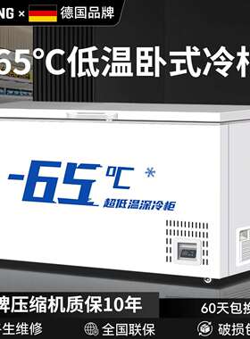商用大容量冷冻柜卧式冷冻冰柜超低温储存柜锁鲜