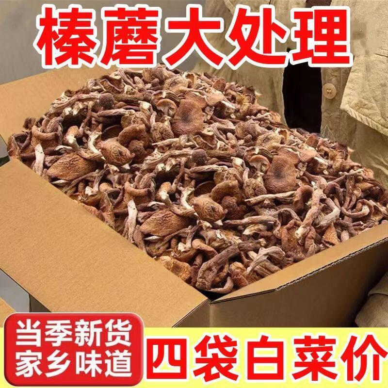 正宗东北野生榛蘑500g东北小鸡炖蘑菇干净无根好吃不贵包邮新货