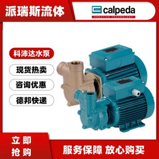 calpeda水泵TP-65E/78/80/100/125E旋涡冷却循环泵T65E/P-O