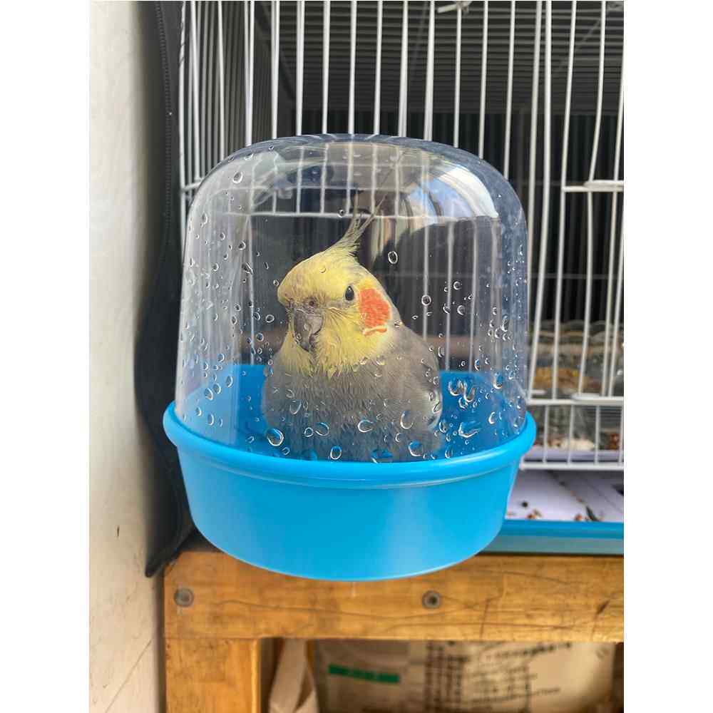 央妈推荐玄凤鹦鹉洗澡盆鸟洗澡器鹦鹉小鸟沐浴用品虎皮牡丹八哥洗