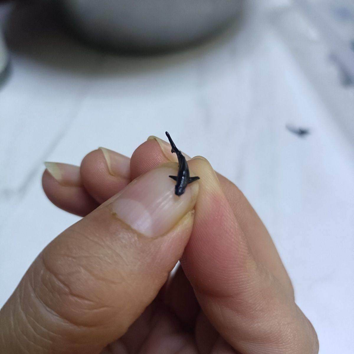 微缩道具鲸鳄鲨鱼锤头鲨大白迷你鱼缸摆件微缩景观配件diy高级小,家居饰品,户外/庭院摆件,淘宝优惠券,粉丝福利购,淘宝优惠卷