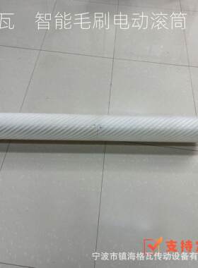 格瓦定制直流电动辊筒套毛刷防护等级IP66可更换尼龙毛刷电动滚筒