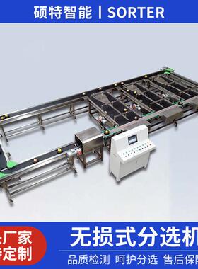 水晶梨内部霉变检测分拣机 人参果重量分选机 芭乐无损称重选果机