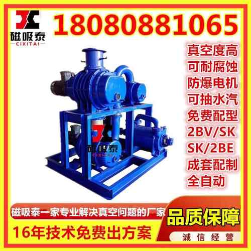 JZJ2B1200-4.2真空机组ZJP1200-300罗茨增压泵2BV5161水环真空泵