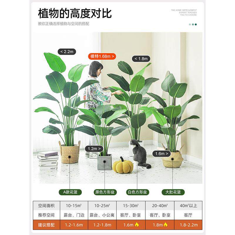 人蕉仿真绿装植旅高端轻026奢室内花盆栽客厅假植物饰摆设仿真树