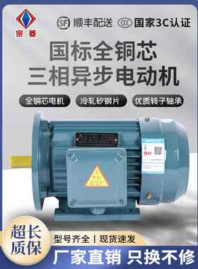 YE4三相电机112M-4380V/4P/3/4 5.5 7.5 11 15 22 37KW异步电动机