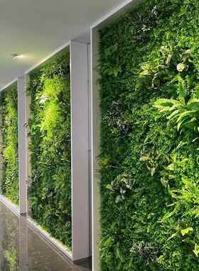 绿墙墙面饰室KUJ植内背景网红人装造草皮端生苔藓阳台仿真植物墙
