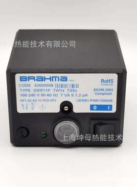 布莱玛（BRAHMA）程控器DSM11P100-240V燃烧控制器