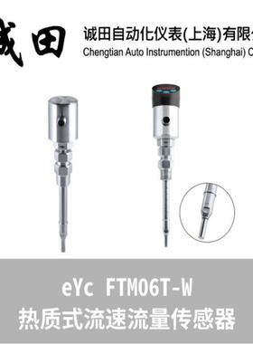 台湾eYc 热质式/工业流量计抗污耐酸/风速计 传感器FTM06T-W