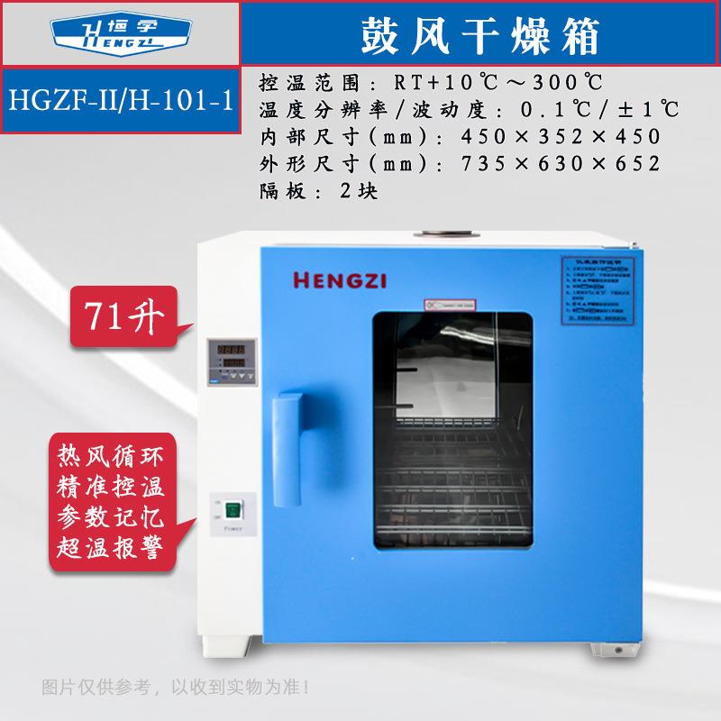 跃进恒字牌HGZF-II/H-101-1数显鼓风干燥箱 70升实验室小型烘干箱