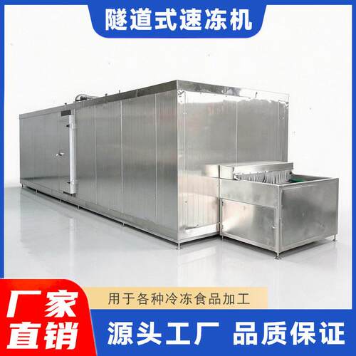 厂家供 143大型商用全动隧道式速冻机 小笼直包蔬香蕉速自果冻设