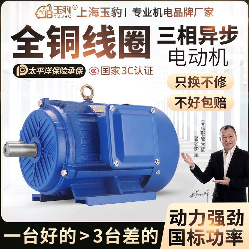 三相异步马达 11/15/18.5/22/30/37/45/55KW 全铜国标 380V电机
