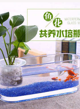 鱼缸玻璃缸造景办公室小斗玻璃长方形S缸桌面小型迷你书桌书架