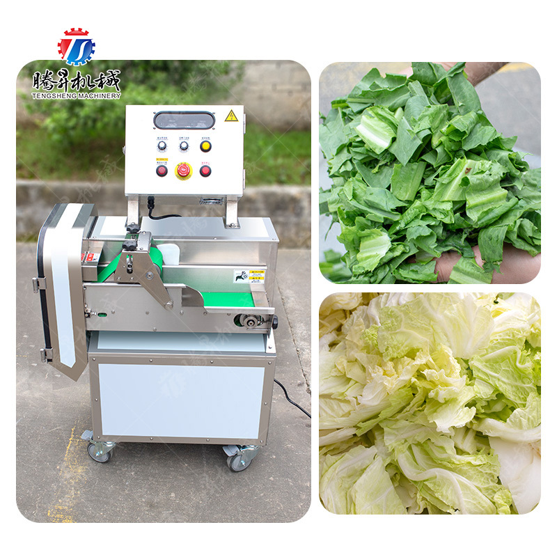 全自动切菜机 多功能切丝切片切段切条机器 不锈钢蔬菜加工设备