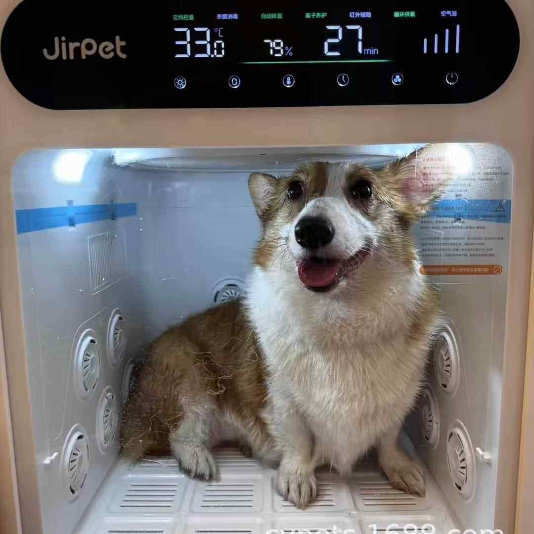 Jirpet宠物烘干箱F1全自动烘干机猫咪吹风神器狗狗洗澡家用吹水机,宠物/宠物食品及用品,宠物智能烘干箱,淘宝优惠券,粉丝福利购,淘宝优惠卷
