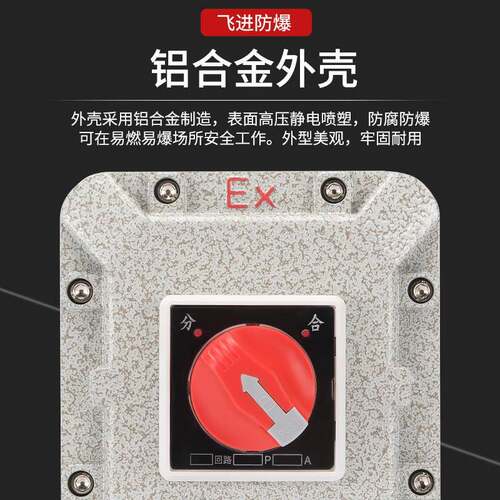 开防爆断路器配电箱空防BXM爆空气关1A25A32A63A 控制箱漏电保护0
